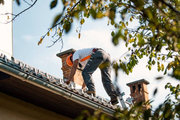 Best Roof Gutter Cleaning  in Kings Park, VA